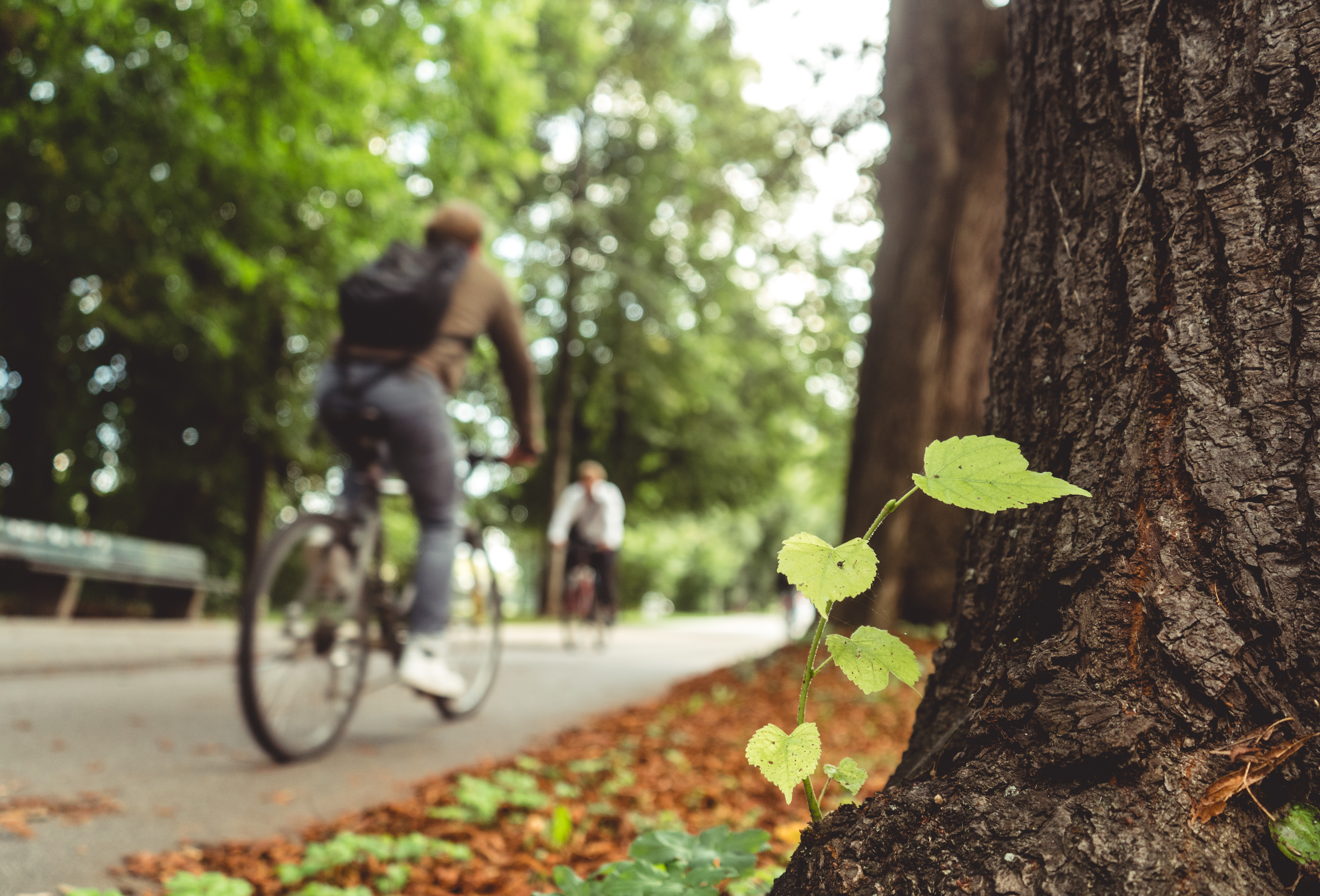 Image de mise en avant de l'article Le 22 septembre 2024, c'est LA journée pour repenser notre mobilité !